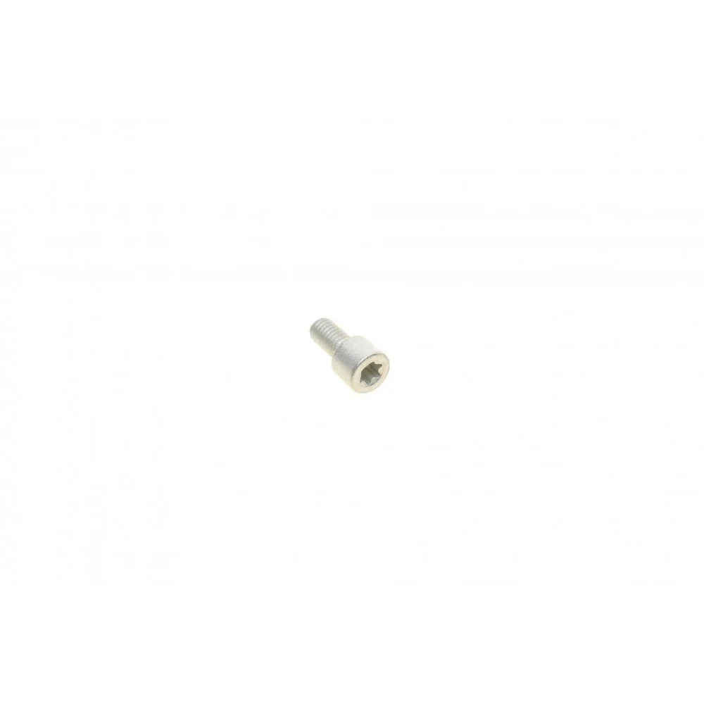 Електродвигун супорта гальмівного (заднього) VW Passat 05-10 (d=34mm)(TRW)