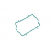 Прокладка термостата Citroen C3/C4/Berlingo/Opel Combo/Peugeot 208/301/Expert 1.6D 08-