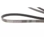 Ремінь генератора Opel Zafira/Astra 1.6/1.8 05-15/Fiat 1.6/1.8 05-/Chevrolet Orlando 1.8 11-