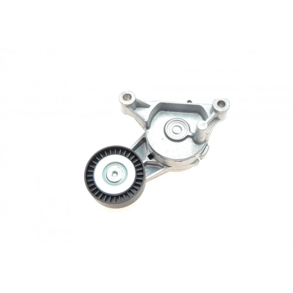 Натяжник ременя генератора VW Caddy 1.9TDI/2.0SDI 04-10 (70x25)