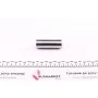 Поршень Renault Kangoo 1.9D 97- (80.51mm/+0,50)