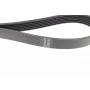 Ремінь генератора Peugeot Bipper/Expert/Partner 1.4/1.6HDI 07-/Ford Focus/Mondeo 2.0 18- (6PK1352)