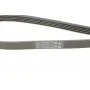 Ремінь генератора VW Touareg 4.2 FSI 06-18/Toyota Avensis/Camry/Corolla 1.8/2.0D 86-03
