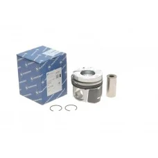 Поршень Renault Trafic/Master/Opel Vivaro 2.5CDTi 01- (89.00mm/STD)