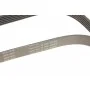 Ремінь генератора Opel Astra 1.7CDTi 03-/Renault Megane/Laguna 1.9-3.0 97-03/BMW 1 (E81/E87) 04-11