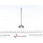 Клапан (впуск) Nissan Primastar/Opel Vivaro/Renault Trafic 1.8/2.0 98- (33.4x5.5x110.7)