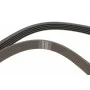 Комплект ременя генератора Renault Kangoo 1.4-2.0 97- (5PK1747)