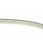 Комплект ГРМ Citroen C5 III/C6/Peugeot 407 2.7D/3.0D 04-