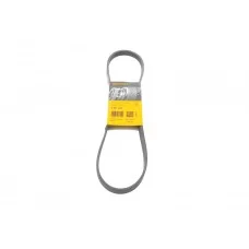 Ремінь генератора Fiat Scudo 2.0 JTD 99-06 (5PK970)