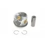 Поршень VW Crafter 2.5TDI 100/120kw 06-13 (81.01mm/STD)