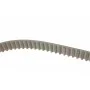Комплект ГРМ VW Golf VI/Skoda Octavia/Superb/Audi A3 2.0TDI 04-13 (160x25)(P569)