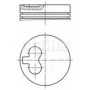 Поршень VW T4 1.9-2.4D (79.76mm/+0.25)