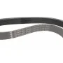 Ремінь генератора Citroen C4/C5 14-/Peugeot 208/308/4085008/508 12-