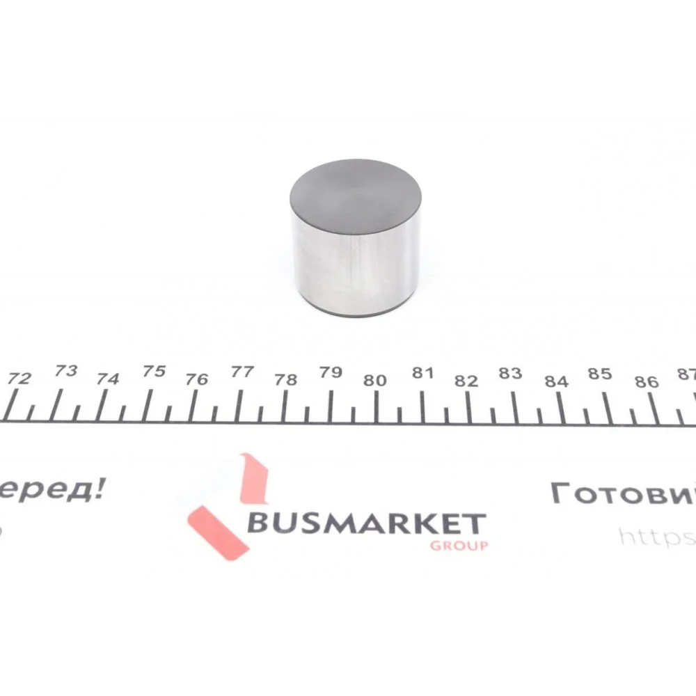 Гідрокомпенсатор Lexus GS/LS 97-06