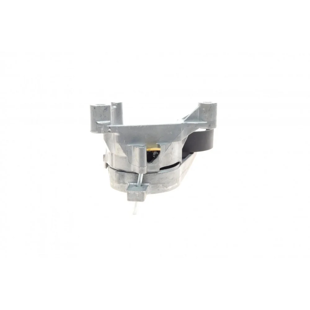 Натяжник ременя генератора VW Caddy 1.9TDI/2.0SDI 04-10 (70x25)