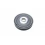 Шків колінвалу Renault Megane/Scenic 1.9dCI 01- (7PK)