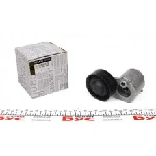 Натяжник ременя генератора Renault Kangoo 1.5dCi 09-