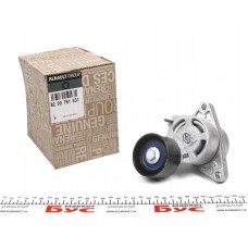 Натяжник ременя генератора Renault Master/Trafic 2.2-2.5dCi 02-