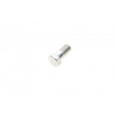 Болт Banjo (банжо) M10x1mm (14x27.1)
