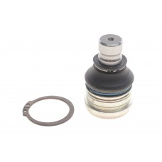 Опора кульова (передня/знизу) Mitsubishi Lancer 03-/Outlander 06-12/Citroen C4 12-