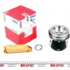 Поршень Citroen Jumper/Fiat Ducato/Peugeot Boxer 3.0HDi 06- (95.80mm/STD)