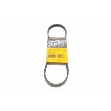Ремінь генератора Ford Transit 2.0 TDCI 00-06