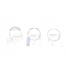 Кільця поршневі Ford Tourneo Connect/Transit Connect 1.6 13- (79mm/STD) (1.2-1.2-2.0) = 8921760000