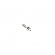 Болт Banjo (банжо) M10x1mm (11x37)