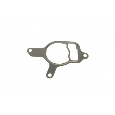 Прокладка насоса вакуумного VW Golf VI/Jetta III/IV 2.5 06-