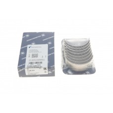 Вкладиші шатунні VW T5 2.0 03-15 (+0.25)
