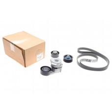 Комплект ременя генератора Citroen Jumper/Peugeot Boxer 2.2 HDi 11- (6PK1640)
