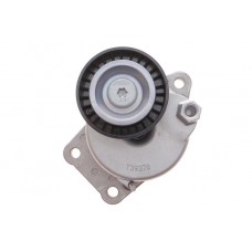 Ролик генератора Citroen C4/C5/Peugeot Expert 2.0HDi 09- (натяжний) (65х25)