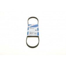 Ремінь генератора поліклиновий Nissan Primera 93-01/Peugeot 205/309 85-98/Hyndai Accent 1.1-1.6 95-10 (4PK815)