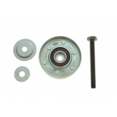 Ролик генератора Skoda Fabia/Roomster/VW Fox/Polo 1.2 01- (паразитний) (76x24)