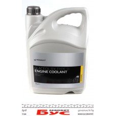 Антифриз (зелений) (5л) (-21°C) Renault Glaceol RX Type D