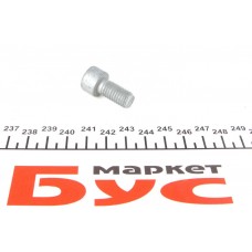 Болт ШРКШ (внутрішнього) VW Passat/Golf IV (M10x20mm)