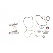 Ремкомплект насосу вакуумного Audi A2/A3/A4/A6/VW Golf/Ford Galaxy 1.2-1.9 TDI 00-10
