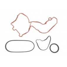 Комплект ременя генератора Citroen C3/C4/Peugeot 208/308 1.2 THP 13-