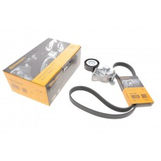 Комплект ременя генератора VW T5 1.9 TDI 03-09/Audi A3 1.9 TDI 00-03 (6PK1120)