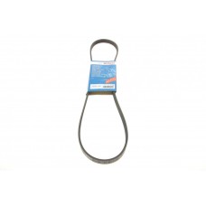 Ремінь генератора Citroen Jumper/Fiat Ducato/Peugeot Boxer 3.0HDi/D 06- (4PK1102)