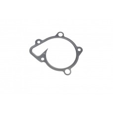 Прокладка помпи води Hyundai Fanta Fe 2.4 10-12/Kia Sportage 2.0 CVVT 10-