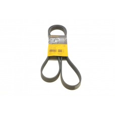 Ремінь генератора Audi A4/A6 1.6-2.0 00-08 (6PK1570)