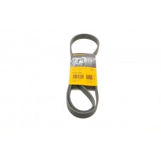 Ремінь генератора Renault Laguna 2.0 95-01/Audi A3 3.2 03-09/Ford Kuga 2.0TDCi 13-