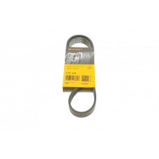 Ремінь генератора Audi A3/A4/A5/A6/Seat Leon/VW Caddy/Passat/Tiguan 2.0 TDI 12-