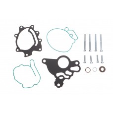 Ремкомплект насосу вакуумного VW Golf V/Passat B6/Touran 2.0 TDI 03-10