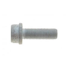 Болт кріплення скоби супорта (заднього) VW Golf IV 98-06 (M10x1.25x30)
