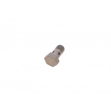 Болт турбіни (M10x1х19mm) BMW 5 (F10/F18)/X5 (F15/F85) 10- N47/B37/M51/M57