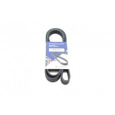 Ремінь генератора Fiat Scudo/Citroen Berlingo/VW Golf IV 1.8/1.9TDI 97- (6PK1660)