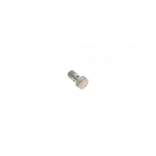Болт турбіни (M10x1х19mm) BMW 5 (F10/F18)/X5 (F15/F85) 10- N47/B37/M51/M57