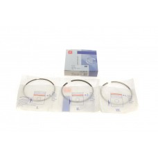Кільця поршневі Citroen Jumper 3.0HDi 06-/10- (95.80mm/STD)(2.5-2.0-2.5) = 8920070000
